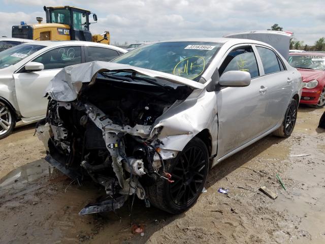 1NXBU4EE0AZ300636 - 2010 TOYOTA COROLLA BASE  照片 2