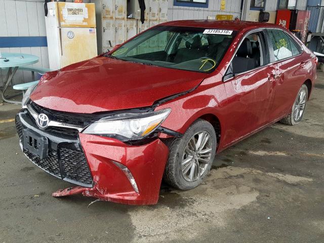 4T1BF1FK7HU795294 - 2017 TOYOTA CAMRY LE  photo 2