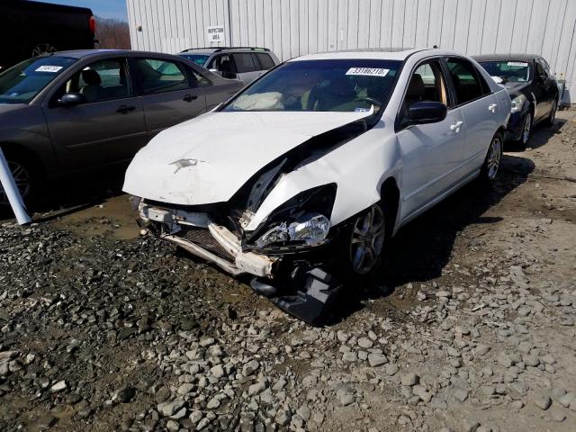 1HGCM56856A140786 - 2006 HONDA ACCORD EX  photo 2