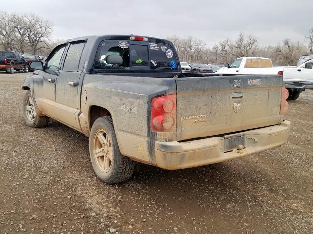 1D7HW28K87S270472 - 2007 DODGE DAKOTA QUAD  photo 3