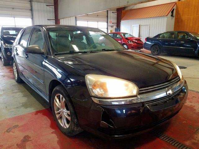 1G1ZT64855F258688 - 2005 CHEVROLET MALIBU MAXX LS  照片 1