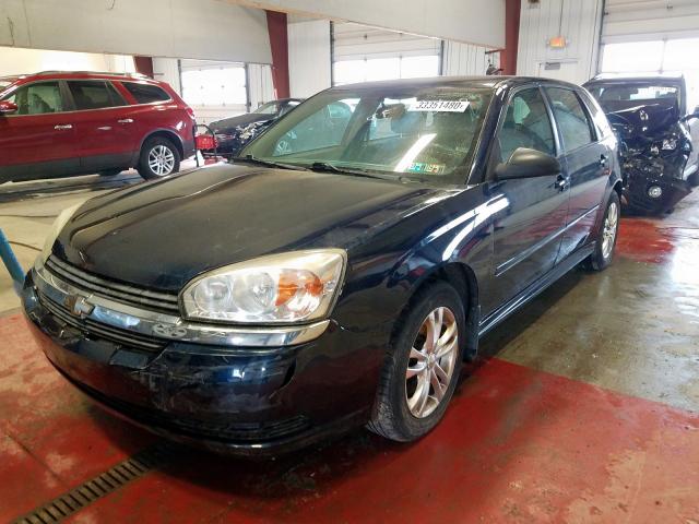 1G1ZT64855F258688 - 2005 CHEVROLET MALIBU MAXX LS  photo 2