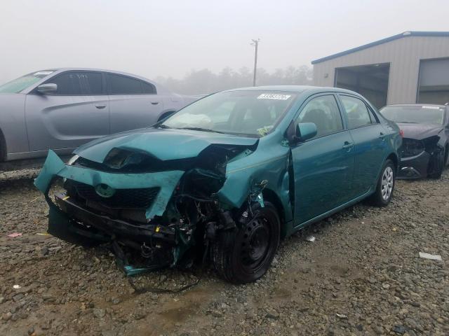 2T1BU4EEXAC242648 - 2010 TOYOTA COROLLA BASE  photo 2