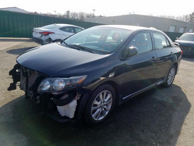 2T1BU40E39C015336 - 2009 TOYOTA COROLLA BASE  foto 2