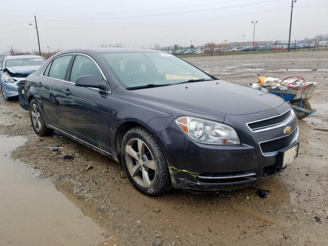 1G1ZC5E1XBF306693 - 2011 CHEVROLET MALIBU 1LT  照片 1