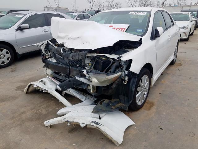 2T1BU4EE1AC534964 - 2010 TOYOTA COROLLA BASE  photo 2