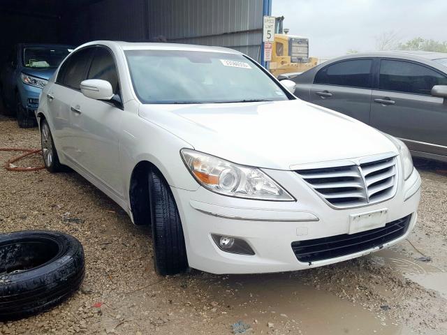 KMHGC46E99U043902 - 2009 HYUNDAI GENESIS 3.8L  photo 1