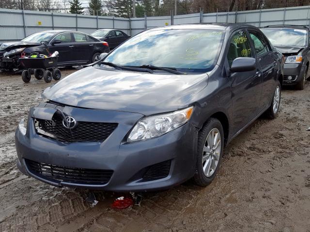 2T1BU4EE7AC368546 - 2010 TOYOTA COROLLA BASE  foto 2