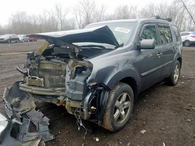 5FNYF4H75BB090695 - 2011 HONDA PILOT EXLN  photo 2