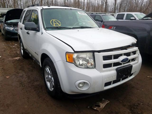 1FMCU49389KD10769 - 2009 FORD ESCAPE HYBRID  photo 1