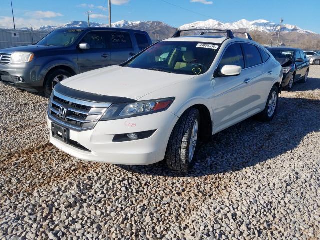 5J6TF2H53CL006542 - 2012 HONDA CROSSTOUR EXL  ფოტო 2