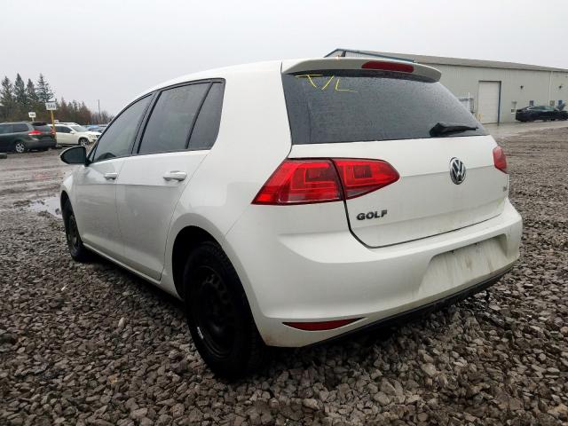 3VW217AU1HM007061 - 2017 VOLKSWAGEN GOLF S  photo 3