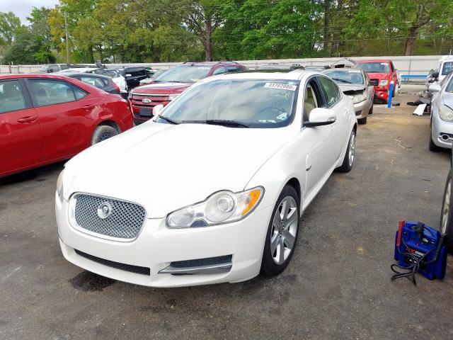 SAJWA05BX9HR01894 - 2009 JAGUAR XF LUXURY  photo 2