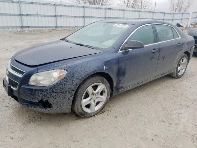 1G1ZA5E09AF284455 - 2010 CHEVROLET MALIBU LS  photo 2