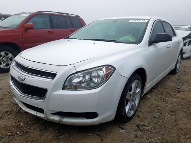 1G1ZB5E1XBF310262 - 2011 CHEVROLET MALIBU LS  photo 2