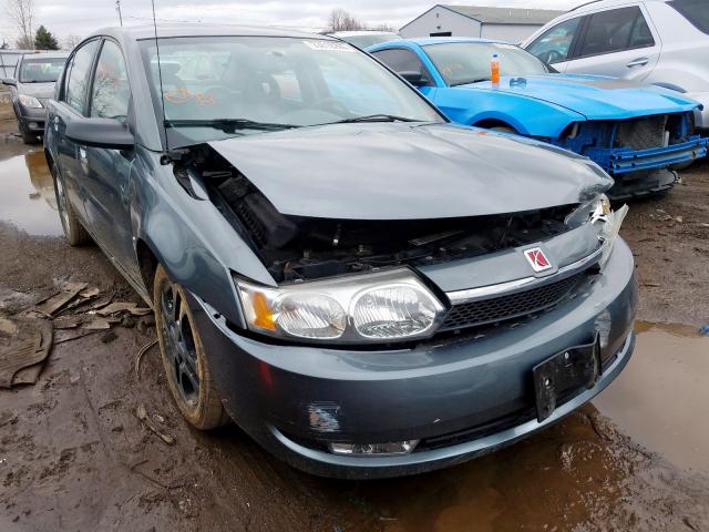1G8AL52F04Z216033 - 2004 SATURN ION LEVEL 3  photo 1