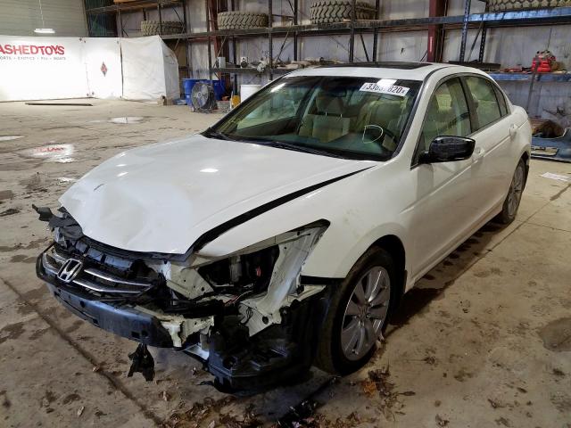 1HGCP2F75BA033504 - 2011 HONDA ACCORD EX  photo 2