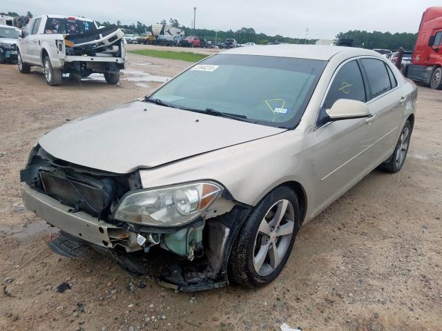 1G1ZC5E1XBF129806 - 2011 CHEVROLET MALIBU 1LT  照片 2