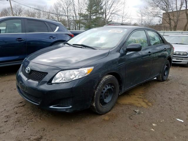 1NXBU4EE8AZ336557 - 2010 TOYOTA COROLLA BASE  照片 2