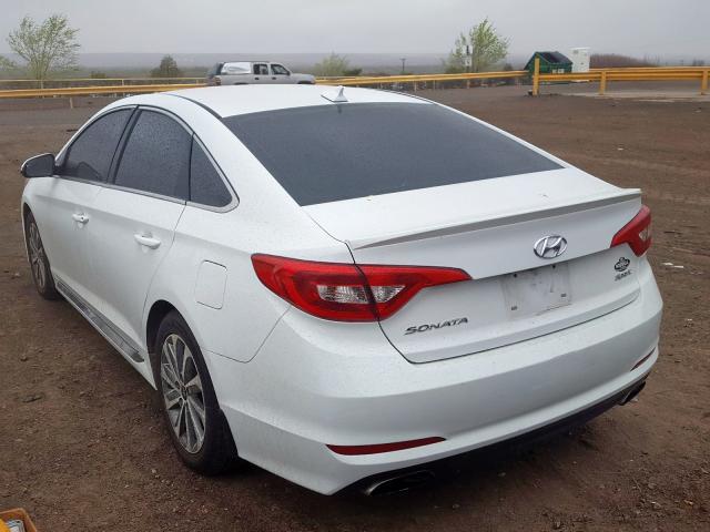 5NPE34AF1HH495900 - 2017 HYUNDAI SONATA SPORT  photo 3