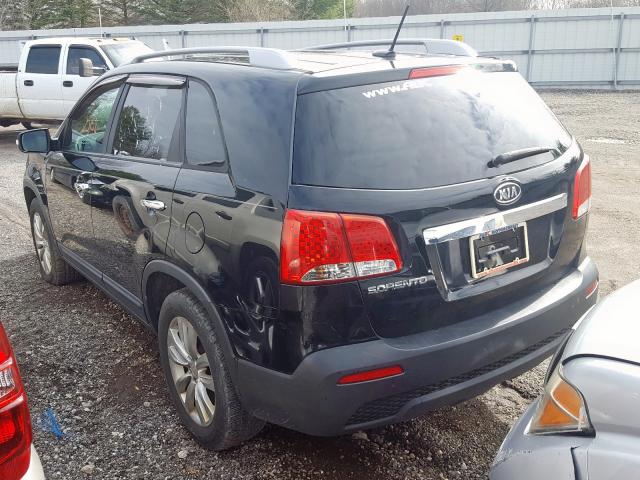 5XYKTDA21BG103383 - 2011 KIA SORENTO BASE  photo 3