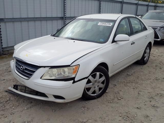 5NPET4AC8AH603036 - 2010 HYUNDAI SONATA GLS  photo 2