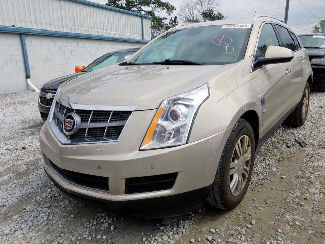 3GYFNAEY6BS658069 - 2011 CADILLAC SRX LUXURY COLLECTION  photo 2