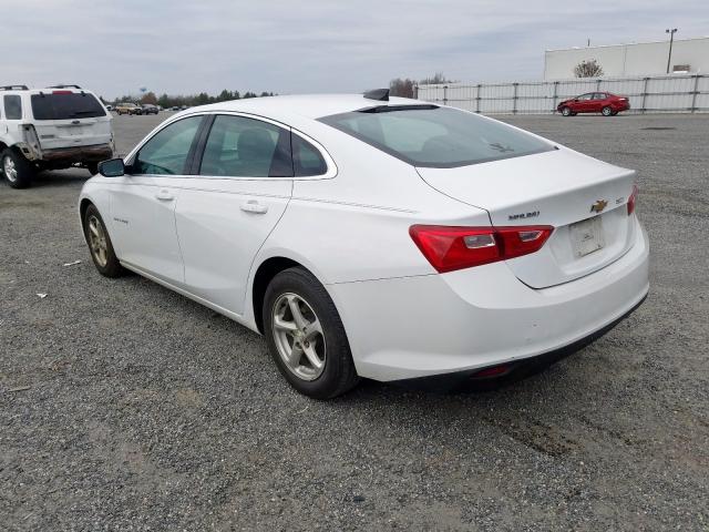 1G1ZB5STXHF242365 - 2017 CHEVROLET MALIBU LS  photo 3