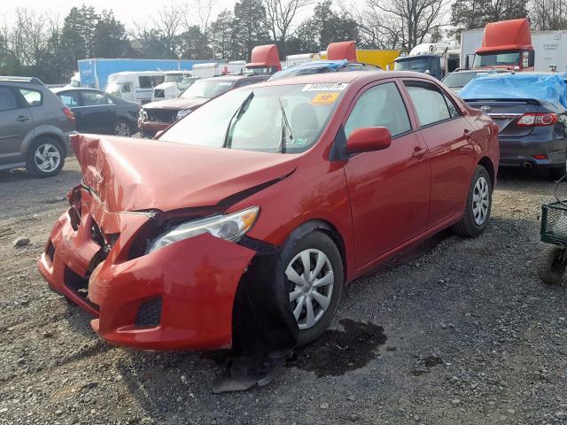 2T1BU4EE4AC256660 - 2010 TOYOTA COROLLA BASE  photo 2