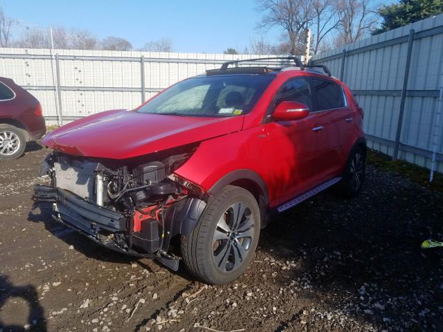 KNDPCCA29D7524767 - 2013 KIA SPORTAGE EX  photo 2