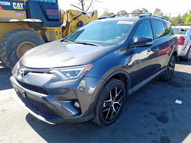 2T3JFREVXGW409639 - 2016 TOYOTA RAV4 SE  photo 2