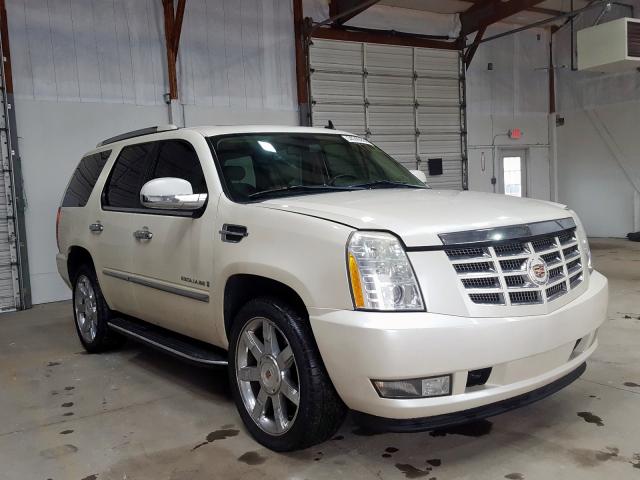 1GYFK23209R140503 - 2009 CADILLAC ESCALADE LUXURY  photo 1