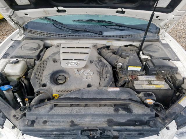 KMHFC46F06A085716 - 2006 HYUNDAI AZERA SE  photo 7