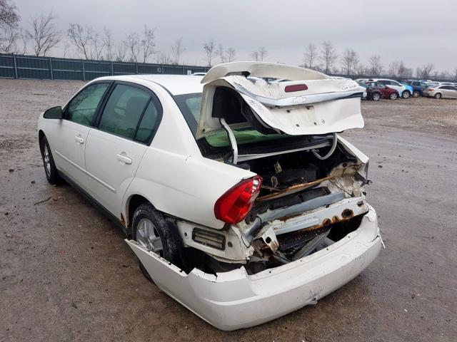 1G1ZT54885F136756 - 2005 CHEVROLET MALIBU LS  photo 3