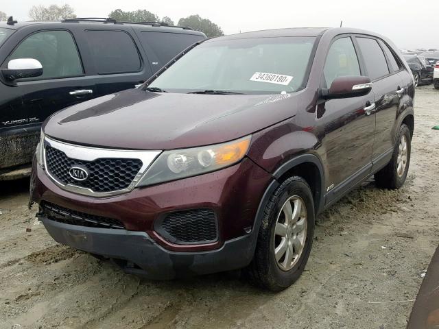 5XYKTCA1XBG011609 - 2011 KIA SORENTO BASE  photo 2