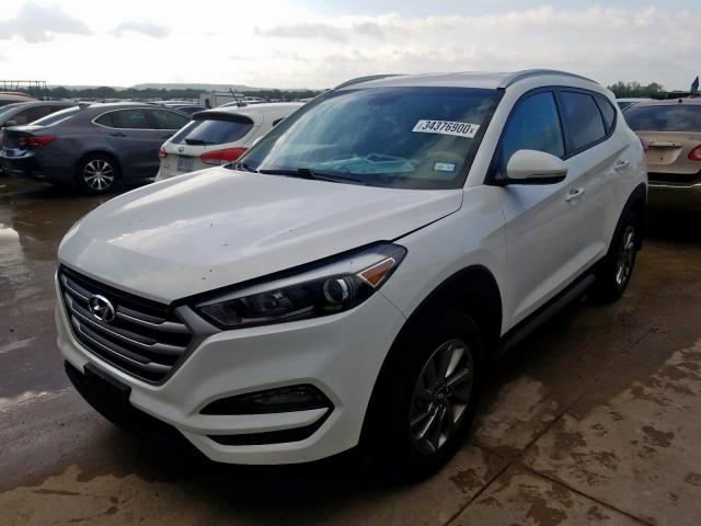 KM8J3CA48HU469979 - 2017 HYUNDAI TUCSON LIMITED  photo 2