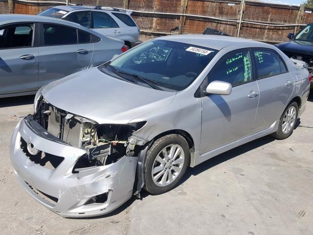 1NXBU40E29Z022681 - 2009 TOYOTA COROLLA BASE  foto 2