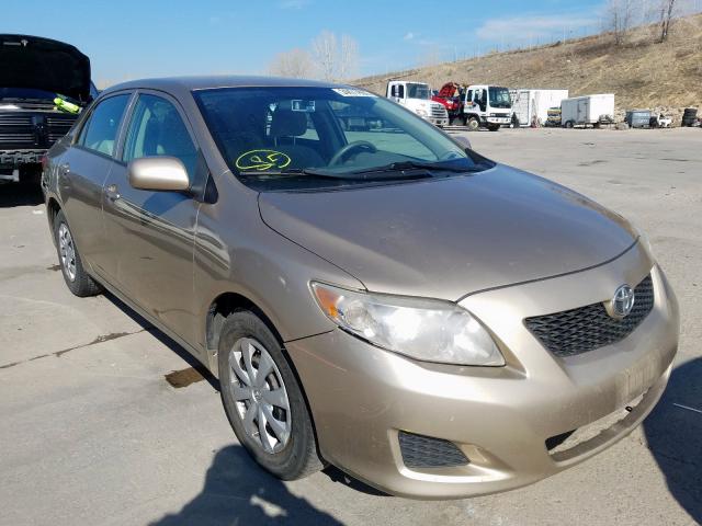 1NXBU4EE1AZ242066 - 2010 TOYOTA COROLLA BASE  photo 1