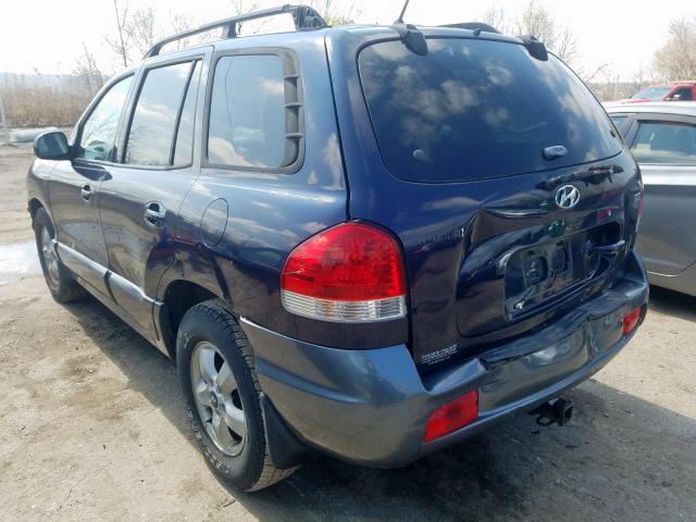 KM8SC13E95U011216 - 2005 HYUNDAI SANTA FE GLS  photo 3