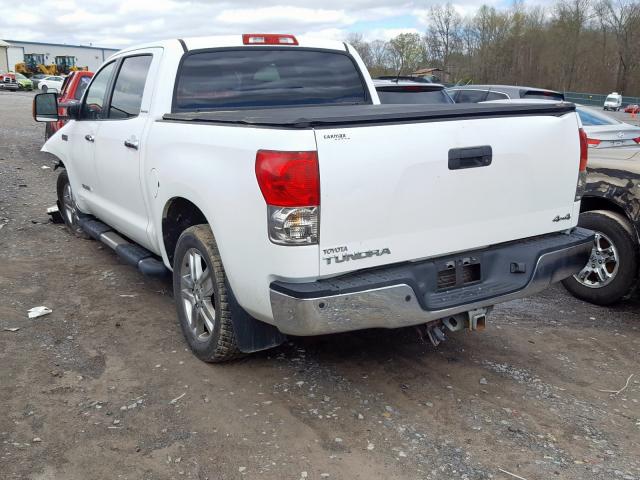 5TBDV58118S495565 - 2008 TOYOTA TUNDRA CREWMAX LIMITED  photo 3