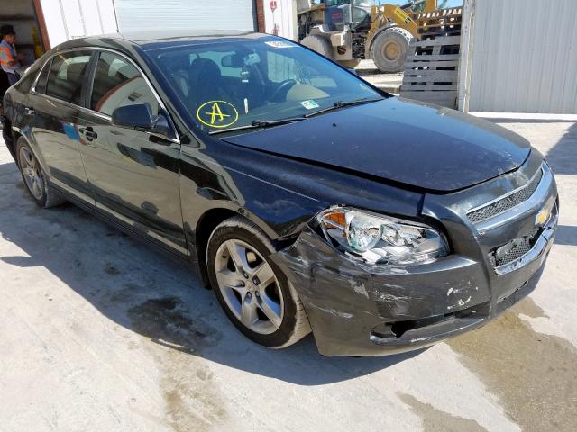 1G1ZB5EB0AF238575 - 2010 CHEVROLET MALIBU LS  photo 1