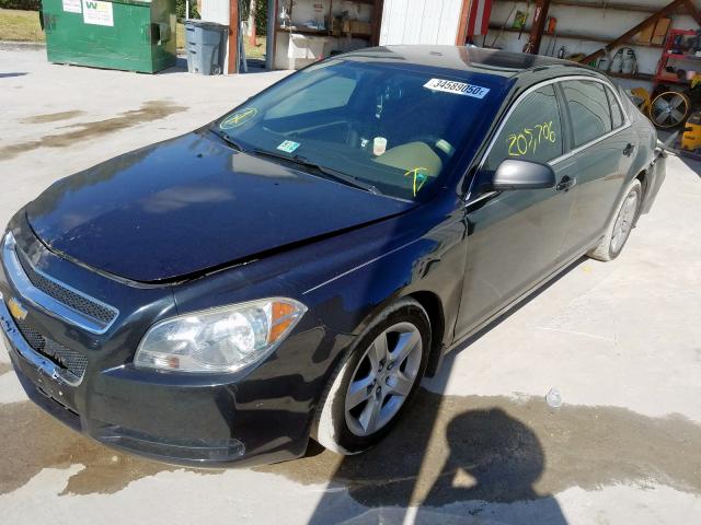 1G1ZB5EB0AF238575 - 2010 CHEVROLET MALIBU LS  photo 2