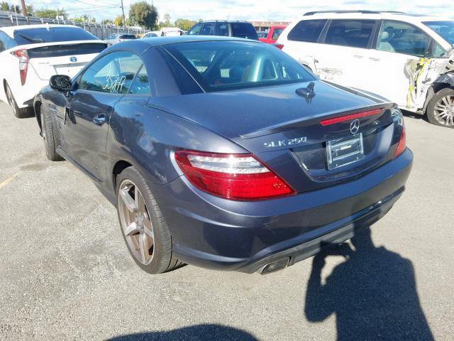 WDDPK4HA1FF103601 - 2015 MERCEDES-BENZ SLK 250  photo 3