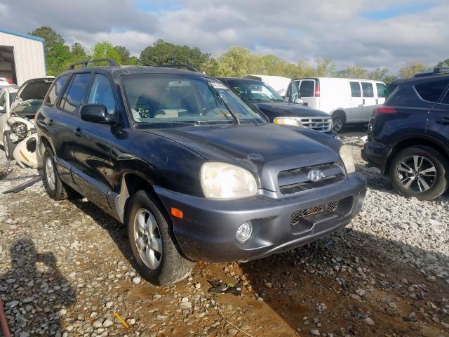 KM8SC13D75U857299 - 2005 HYUNDAI SANTA FE GLS  photo 1