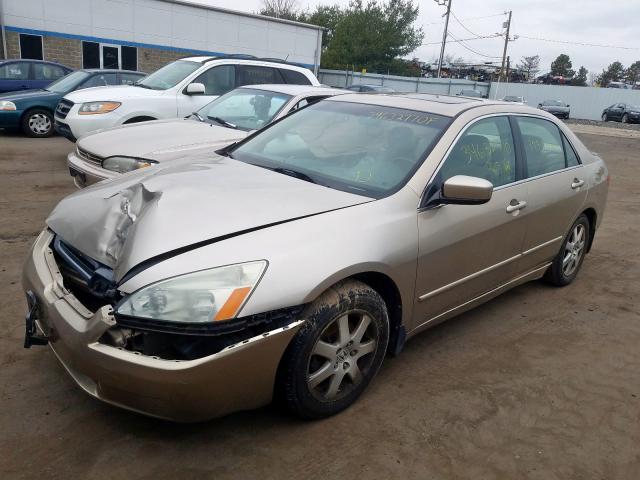 1HGCM66575A078933 - 2005 HONDA ACCORD EX  photo 2