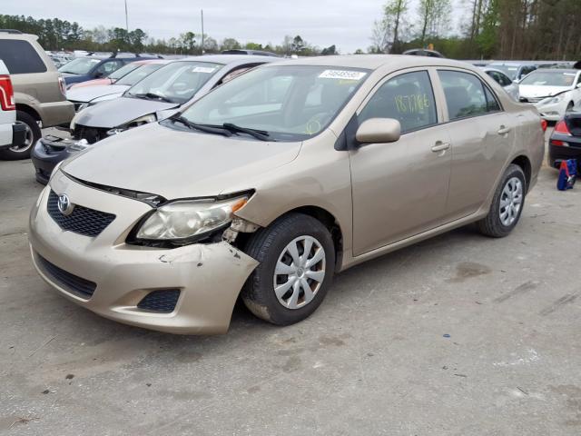 2T1BU4EE9AC309160 - 2010 TOYOTA COROLLA BASE  photo 2