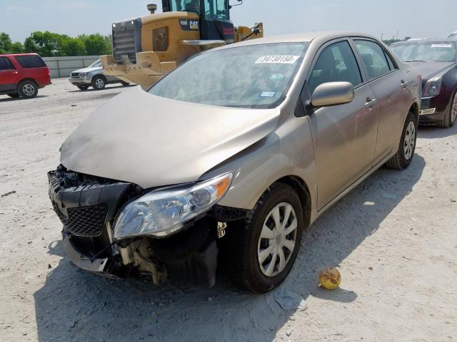 1NXBU4EE0AZ285247 - 2010 TOYOTA COROLLA BASE  照片 2