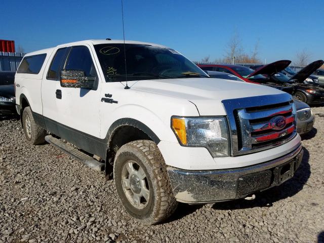 1FTEX1E81AKE51241 - 2010 FORD F150 SUPER CAB  photo 1