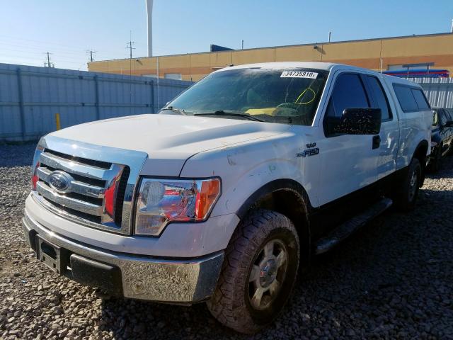 1FTEX1E81AKE51241 - 2010 FORD F150 SUPER CAB  photo 2