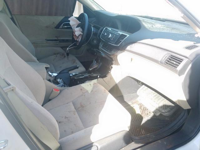 1HGCR2F37DA256749 - 2013 HONDA ACCORD LX  photo 5